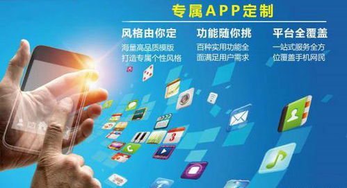 安徽APP開(kāi)發(fā) 如何衡量APP軟件定制開(kāi)發(fā)的質(zhì)量